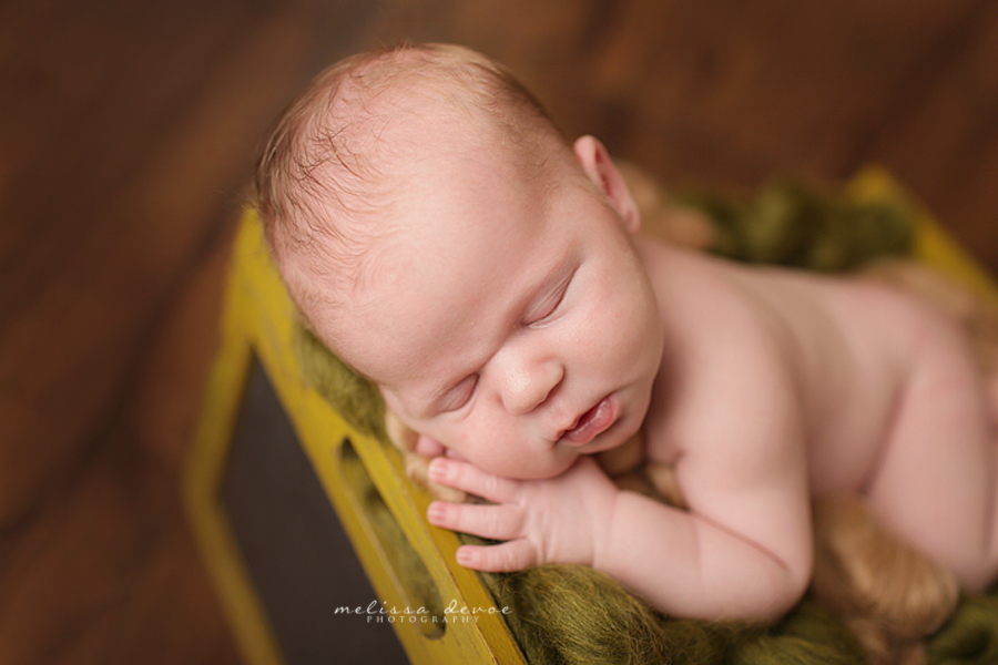 Melissa Devoe Photography Raleigh Durham Newborn Baby Photographer