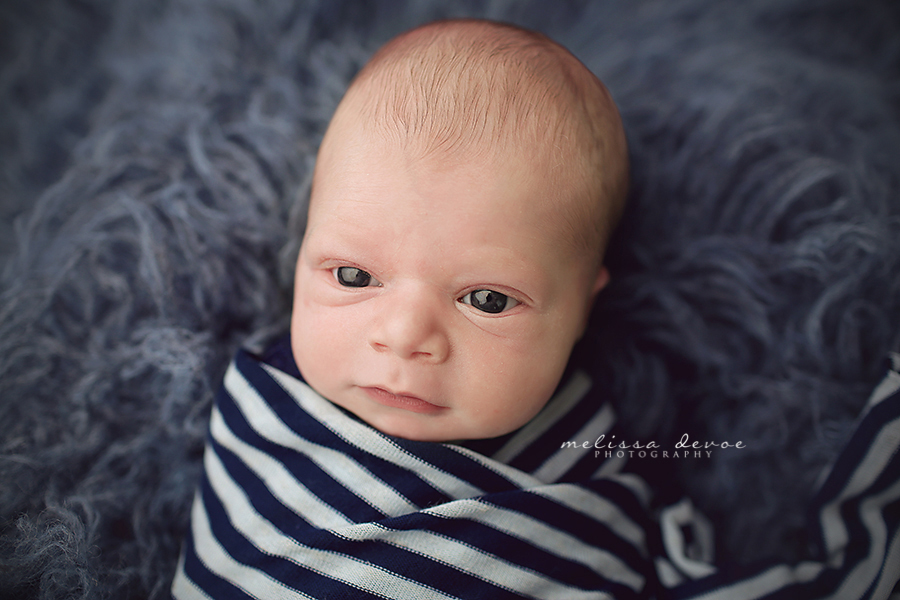 CMelissa DeVoe Photography Raleigh Newborn Baby Photographer