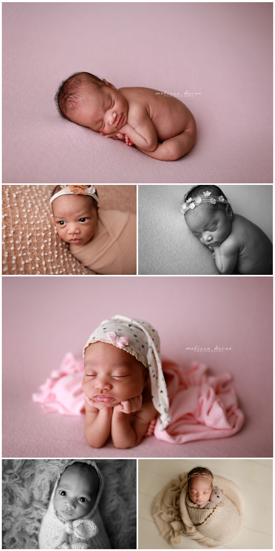 Newborn Baby Photography Raleigh Triangle
