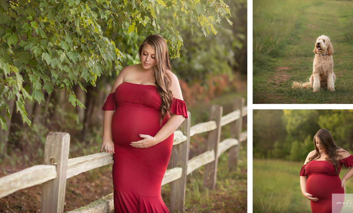 Pregnancy Photos Wake Forest