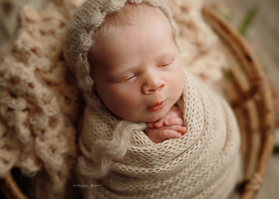 Raleigh newborn portraits