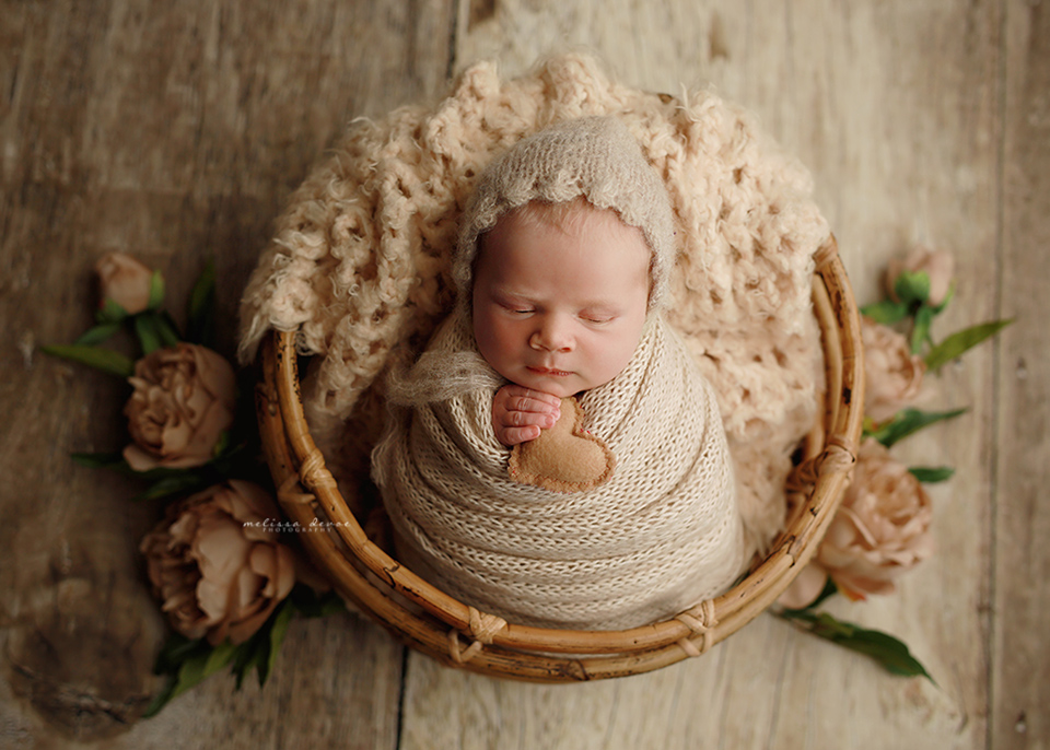 Durham newborn photographer