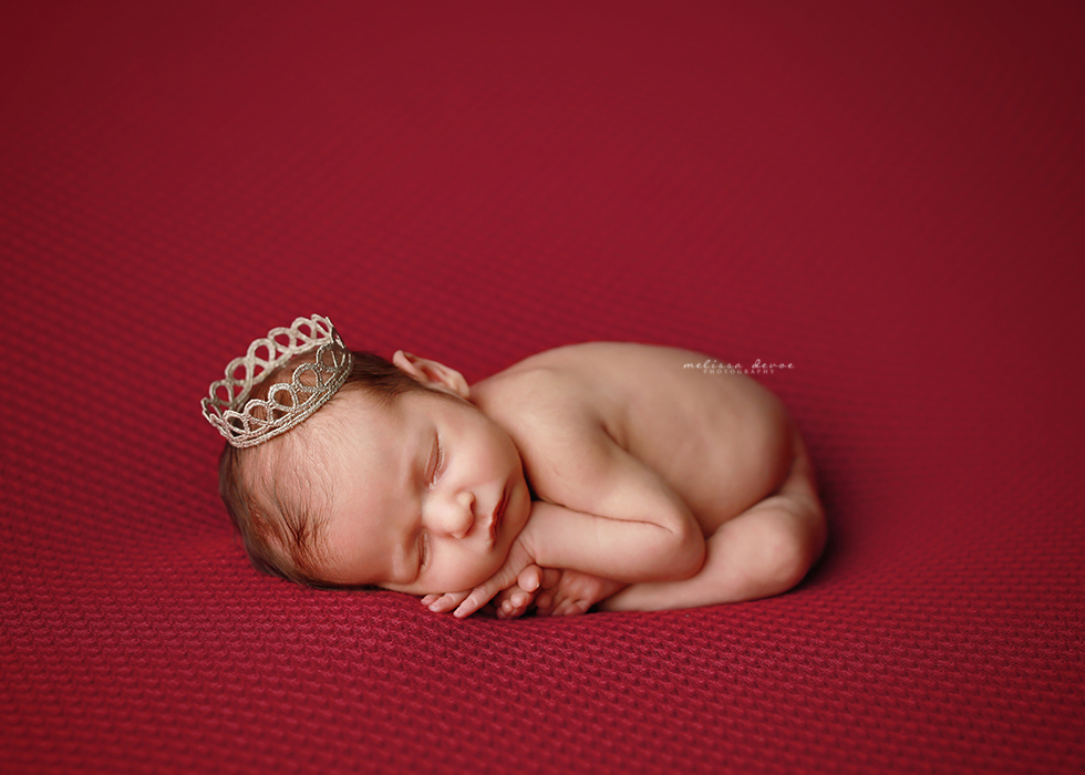 Newborn portraits Wake Forest