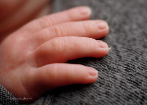 Wake Forest baby portrait