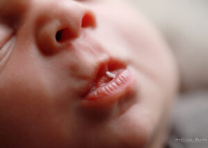 Raleigh baby macro portrait