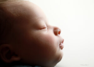 Photography Studio Wake Forest