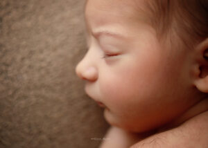 Baby photography in North Carolina
