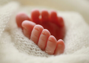 morrisville baby photographer
