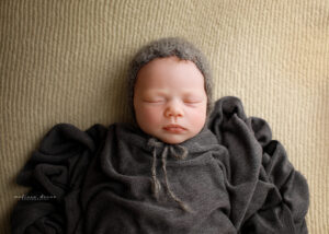 Raleigh newborn portraits