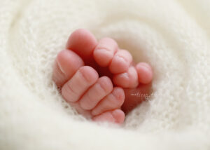 baby toes portrait