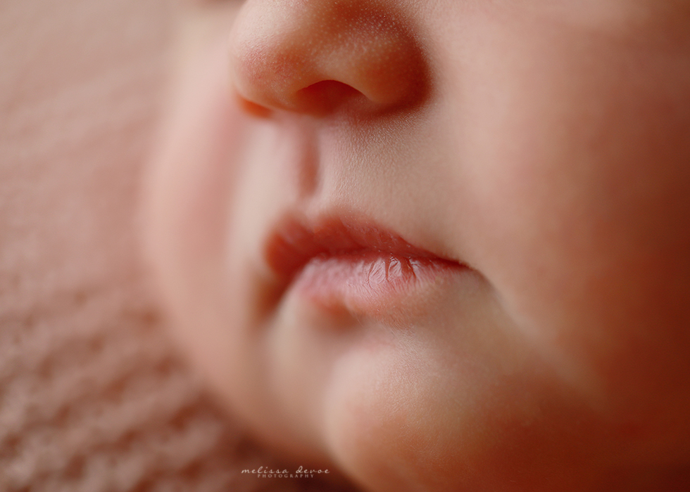 Baby portraits Durham NC