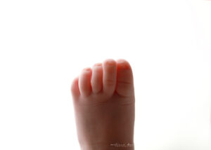 experienced baby photographer Raleigh NC