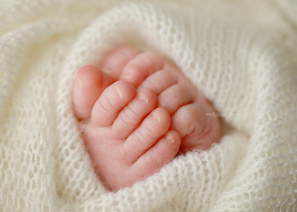 Best baby photographer North Carolina