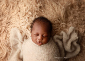 newborn portraits Raleigh