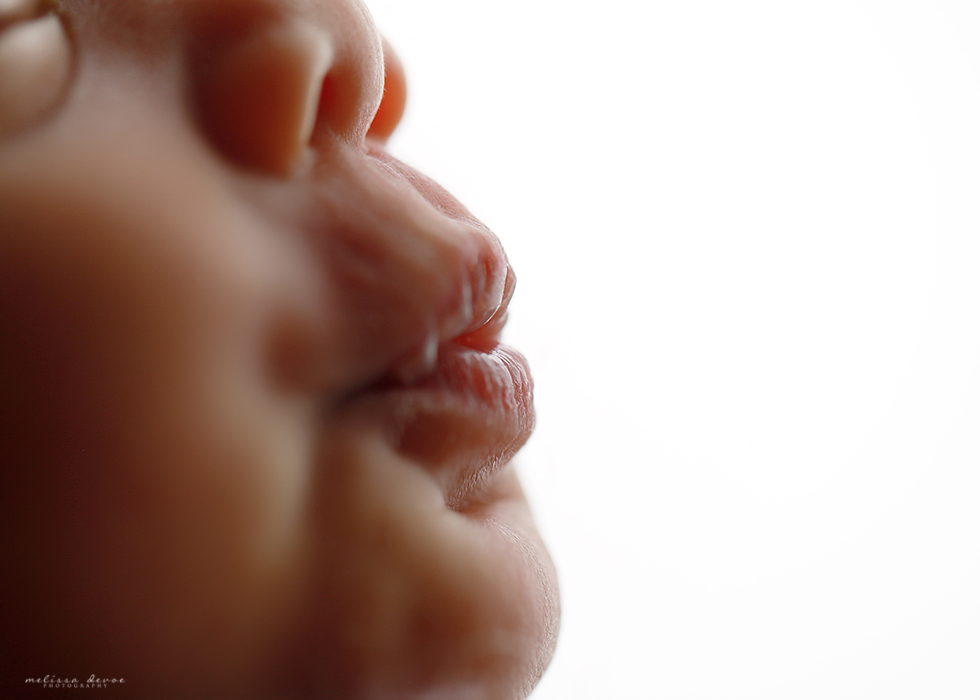 Cary newborn mini session