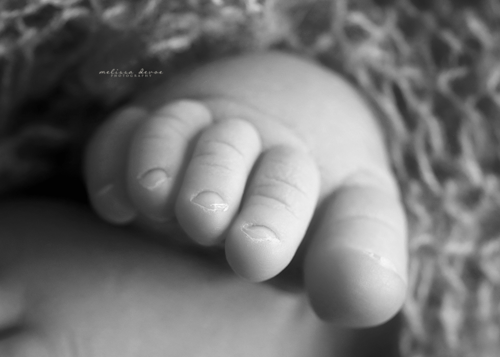 Newborn photography Franklinton NC