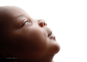 Wake Forest baby photographer