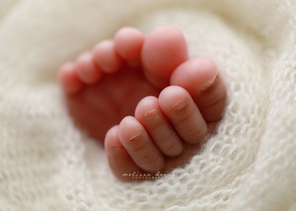 macro photography Raleigh