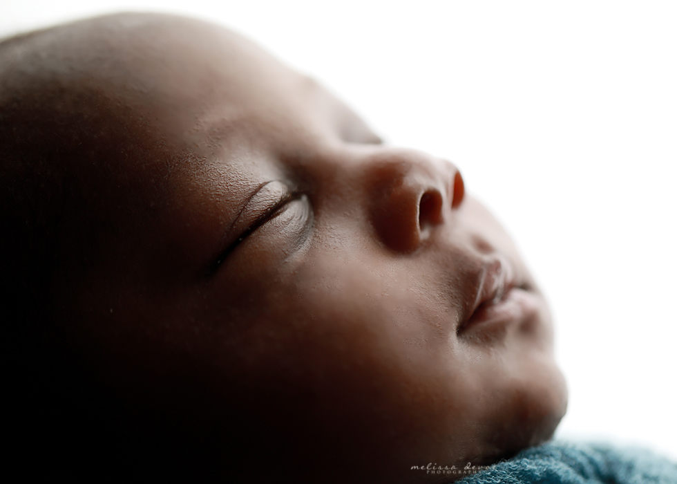 wake forest newborn portraits