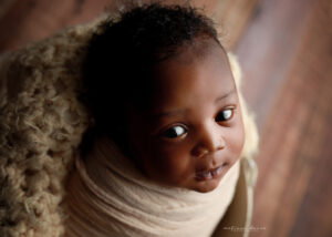 Newborn Portraits Raleigh