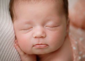 Newborn photography Cary