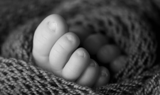 Raleigh NC newborn photographer, newborn photoshoot
