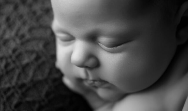 Raleigh NC newborn photographer, newborn photoshoot