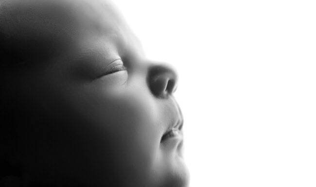 Raleigh NC newborn photographer, newborn photoshoot