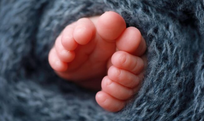 get newborn pictures taken Wake Forest, professional newborn photos